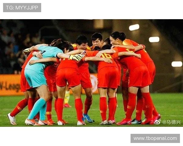 上海排球队拼搏历程揭秘努力追梦世界杯预选赛的背后故事