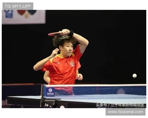 专访乒乓球名将赵强深度剖析他成功背后的秘密与经验