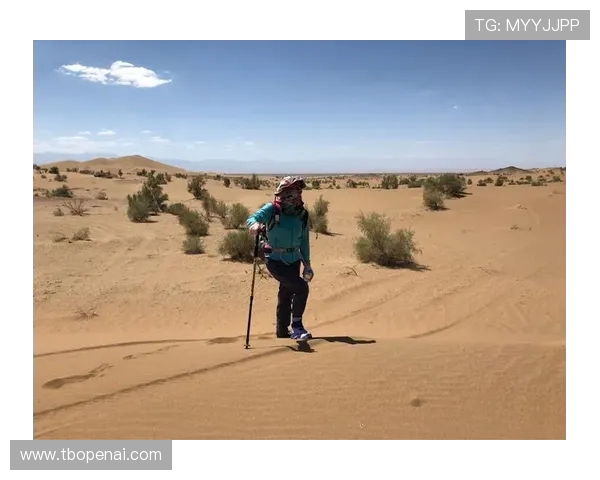 成都网球队选拔赛特别报道:从传统到现代的转型之路探索与挑战