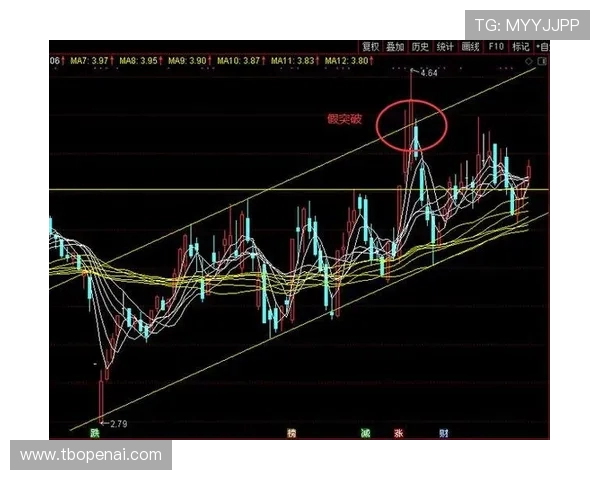 杭州篮球队杯赛征程回顾与突破之路的深度剖析与展望 杭州篮球队杯赛征程回顾与突破之路的深度剖析与展望