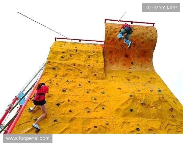 武汉攀岩队在城市马拉松中的技术表现与挑战分析