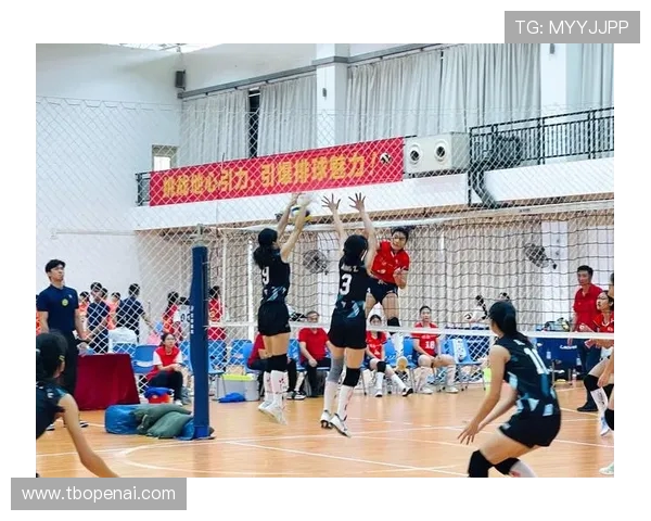 深圳排球队的节奏与激情：深入探讨排球运动的魅力与团队精神