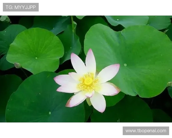 王秀英谈极限运动之路与人生感悟的深刻回顾