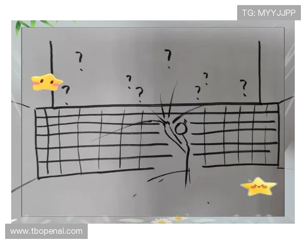 深入分析杭州排球队的进攻策略与战术特点