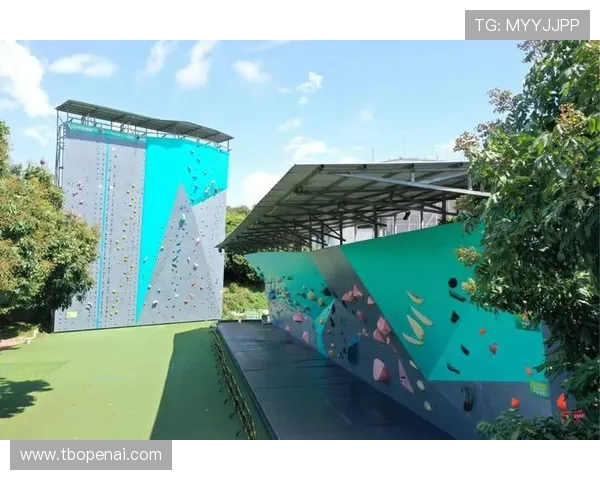 深圳攀岩队速度对比独家分析揭示训练效果与竞技水平的关系