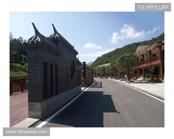 深度对话刘强如何在王者荣耀中找到人生的意义与乐趣