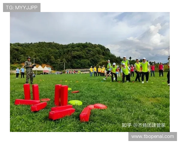 南京飞盘队个人能力分析与团队协作的深度探讨