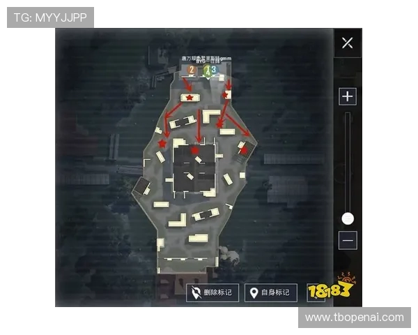 和平精英战术解析：深入探讨RNG战队的游戏控制与策略运用