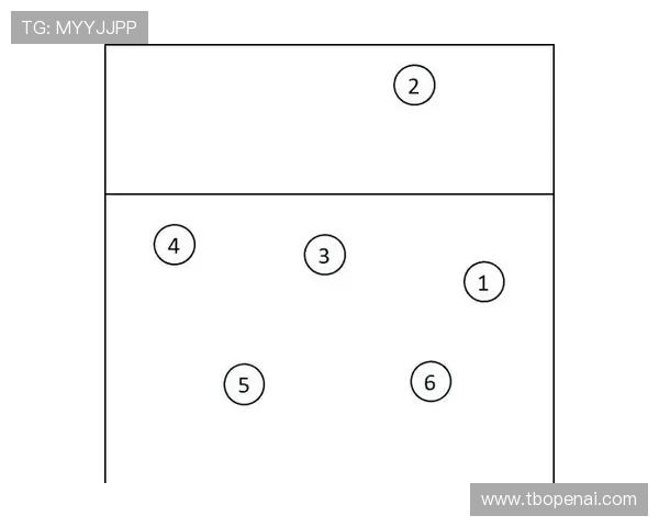 广州排球队总决赛战术解析与表现评估全面分析